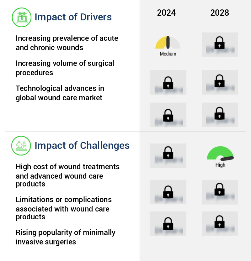 Wound Care Market Size
