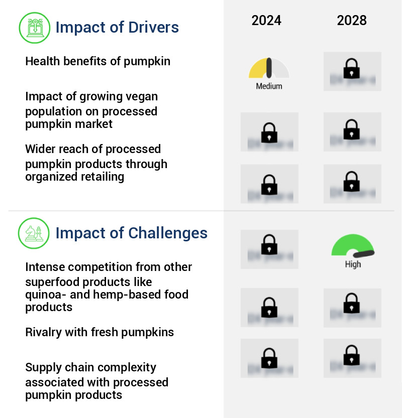 Processed Pumpkin Market in US Size