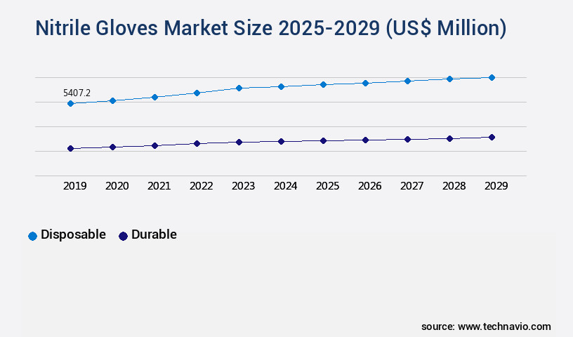 Nitrile Gloves Market Size