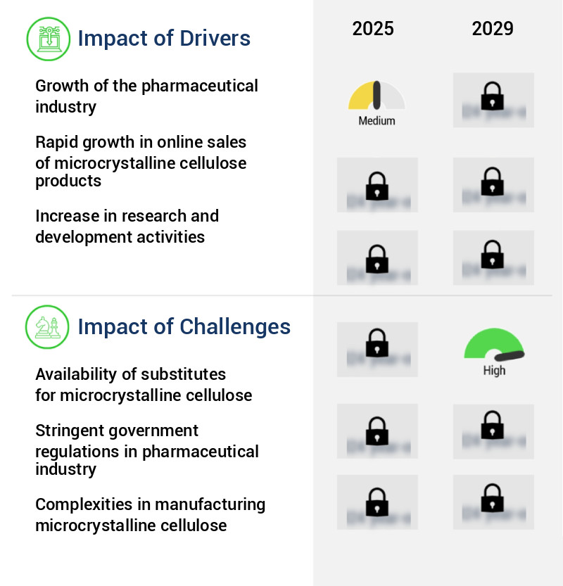 Microcrystalline Cellulose (MCC) Market Size