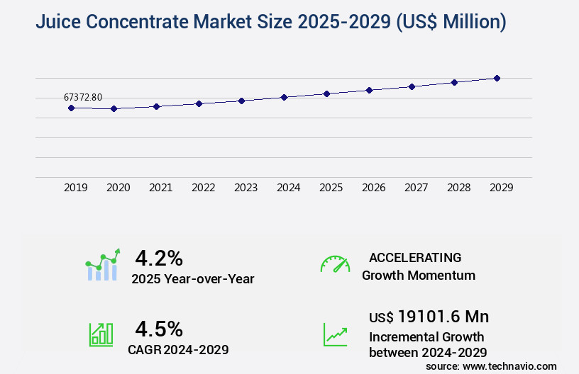 Juice Concentrate Market Size