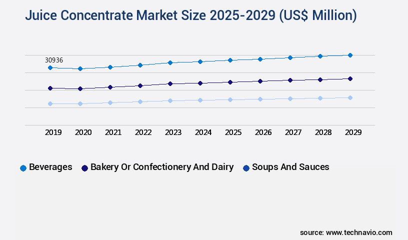 Juice Concentrate Market Size