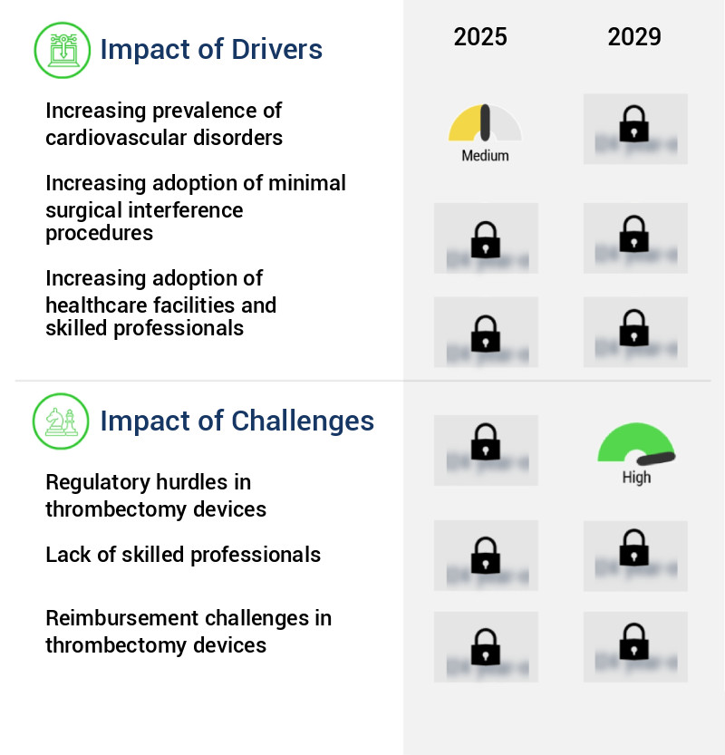 Thrombectomy Devices Market Size