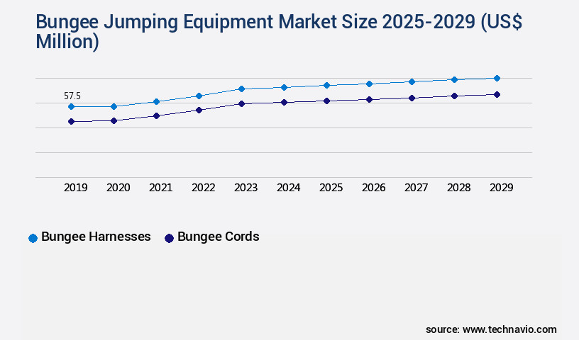 Bungee Jumping Equipment Market Size