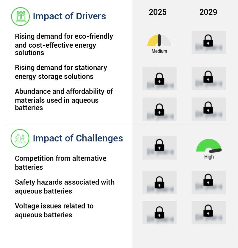 Aqueous Batteries Market Size