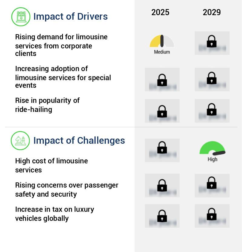 Limousine Service Market Size