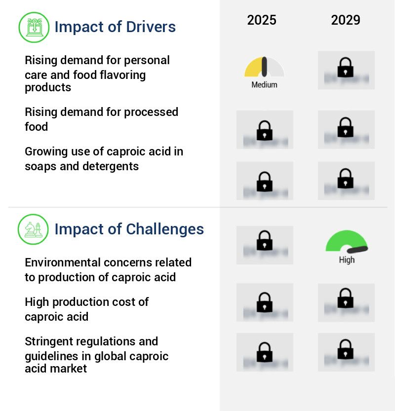 Caproic Acid Market Size