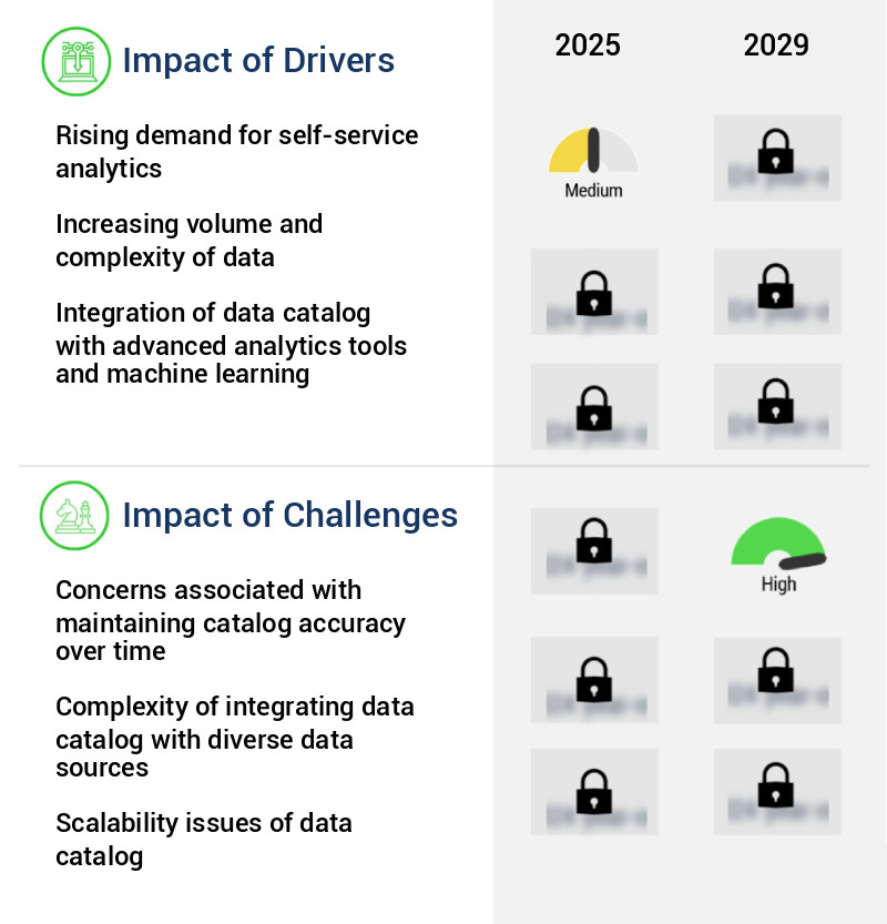 Data Catalog Market Size