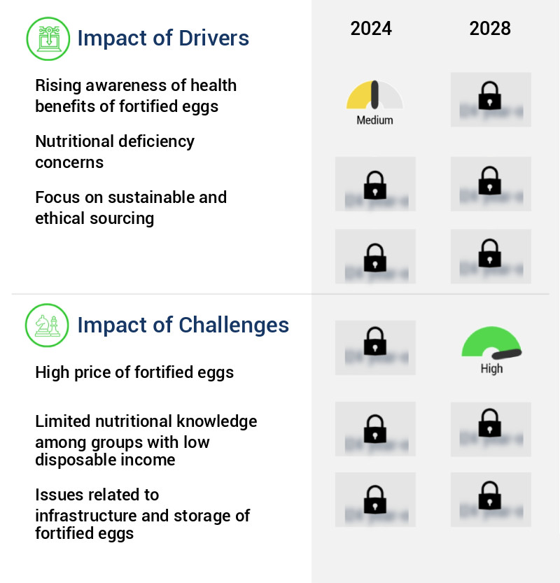 Fortified Eggs Market Size
