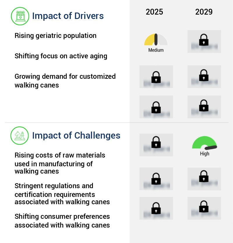 Walking Canes Market Size