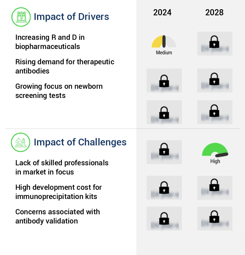 Immunoprecipitation Market Size