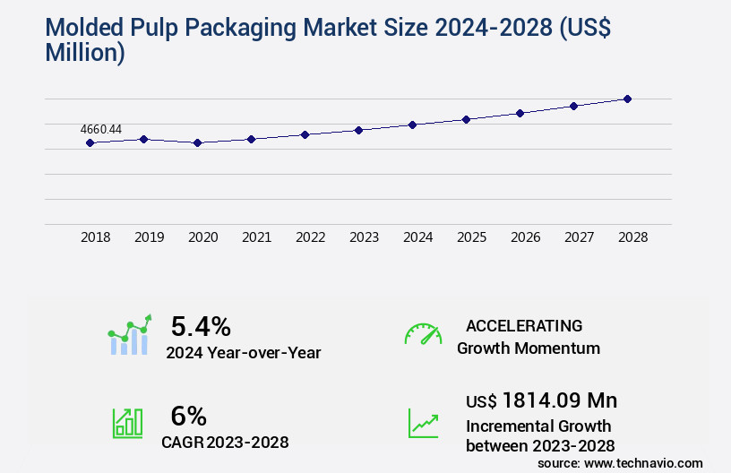 Molded Pulp Packaging Market Size