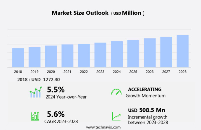 Lactated Ringers Injection Market Size