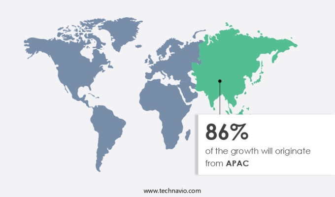 Monosodium Glutamate (MSG) Market Share by Geography