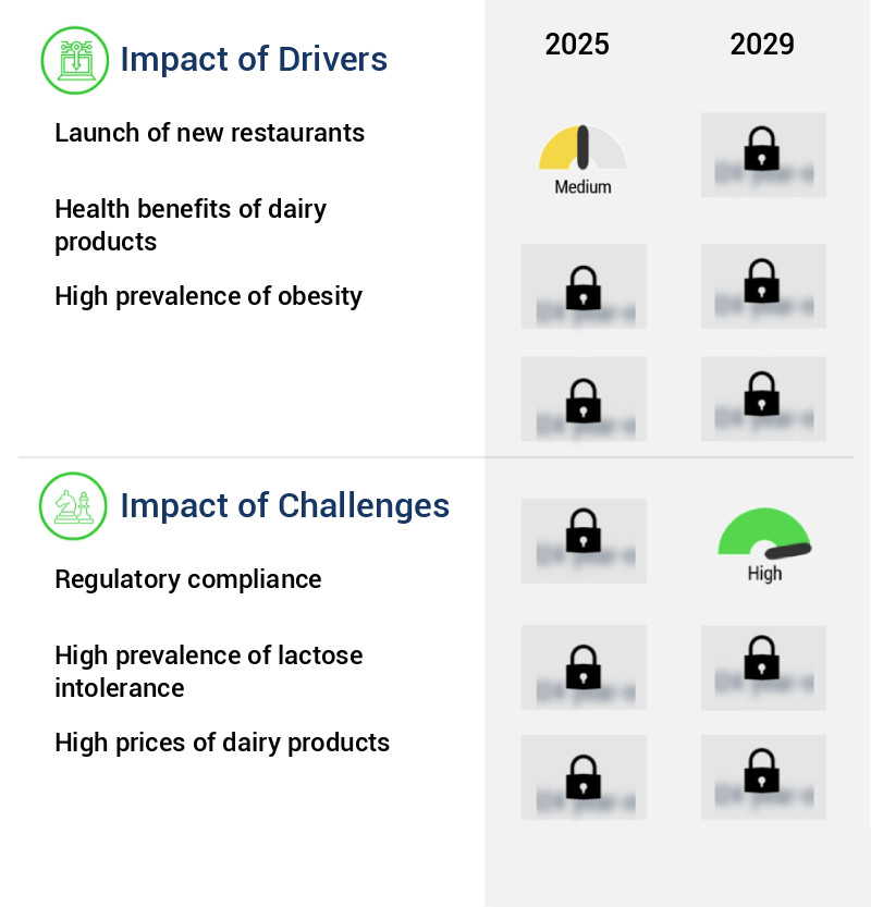 Spicy Dairy Products Market Size