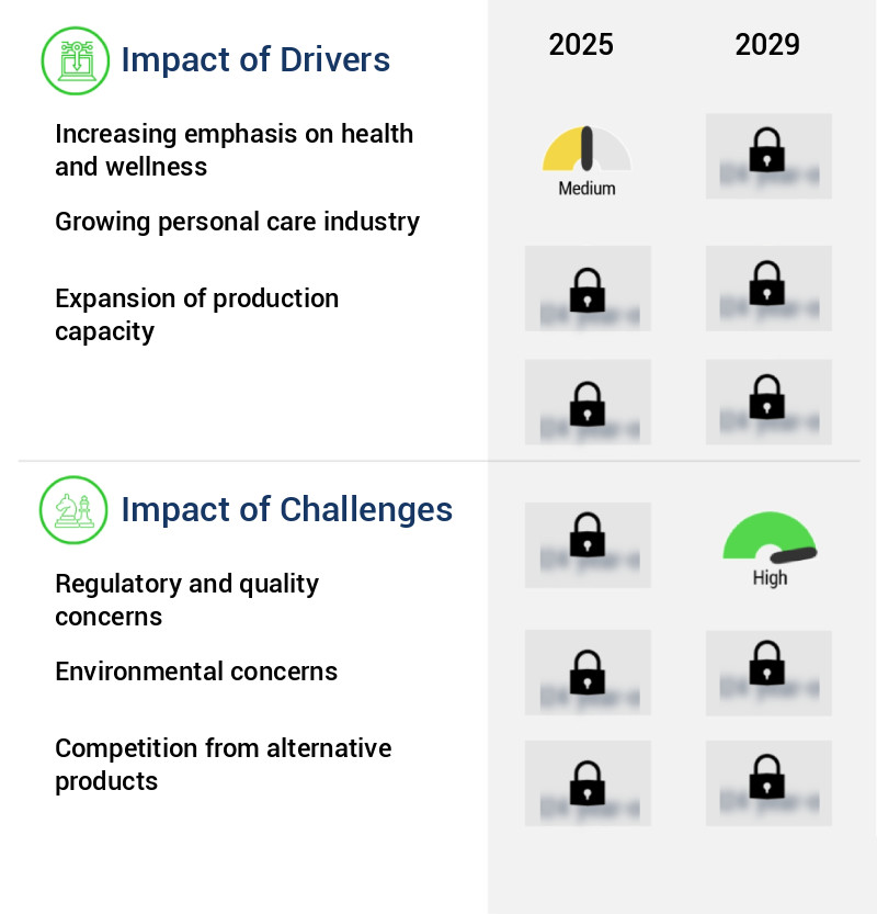 Collagen Peptide Market Size