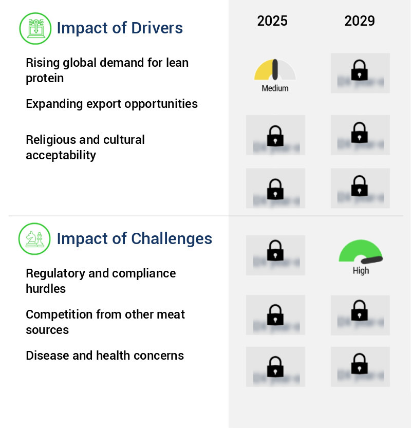Buffalo Meat Market Size