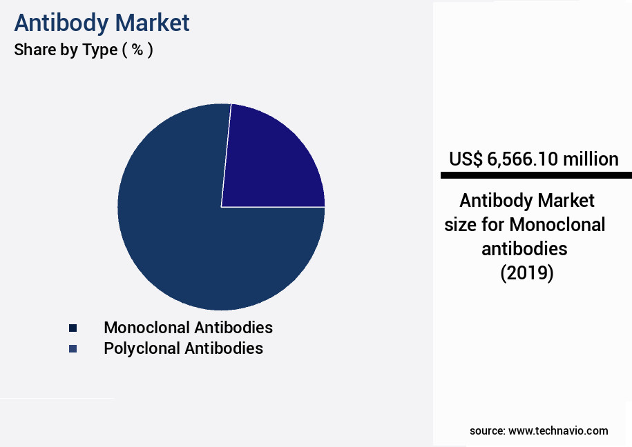 Antibody Market Size
