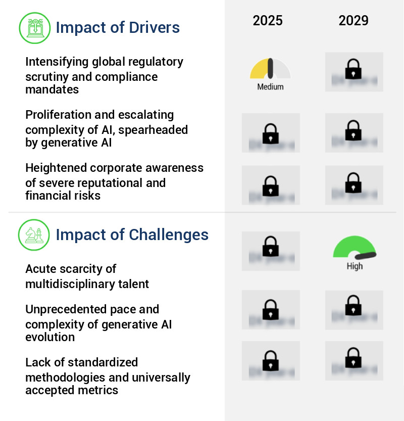 AI-Model Risk Management Market Size