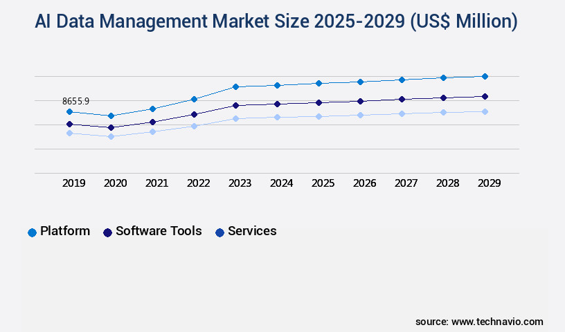 AI Data Management Market Size