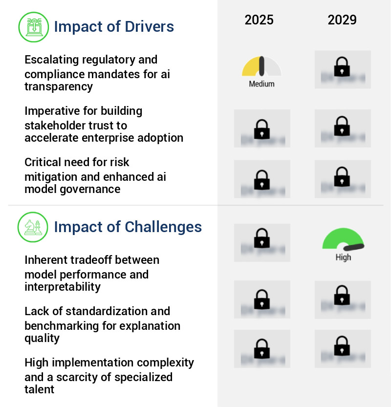 Explainable AI Market Size