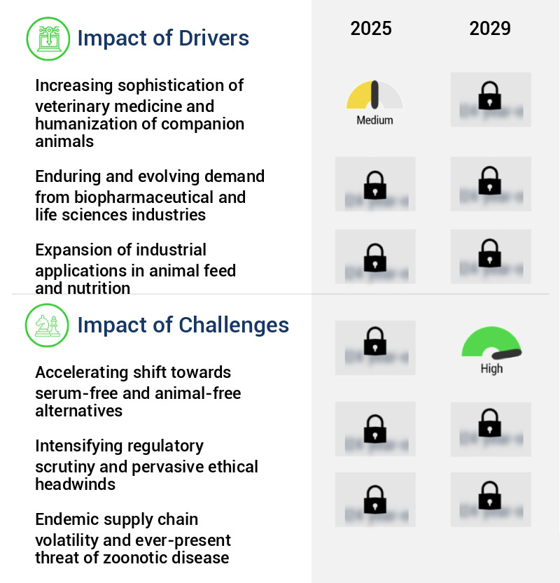 Animal Blood Product Market Size