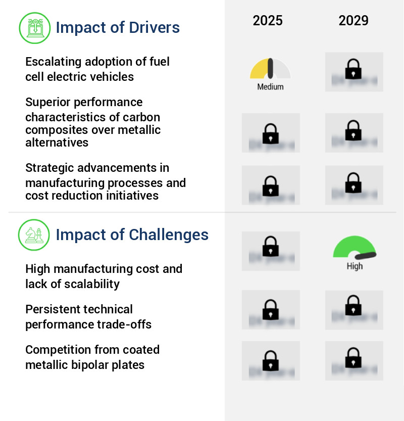 Carbon Composite Bipolar Plates Market Size