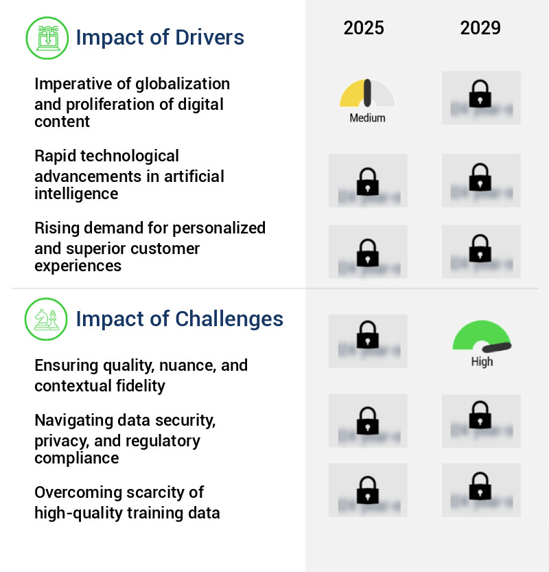 AI Language Translator Tool Market Size