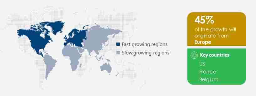 Inulin Market Share by Geography