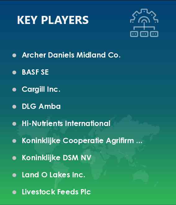 Feed Premix Market Vendors