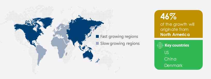 Diatomite Market Share by Geography