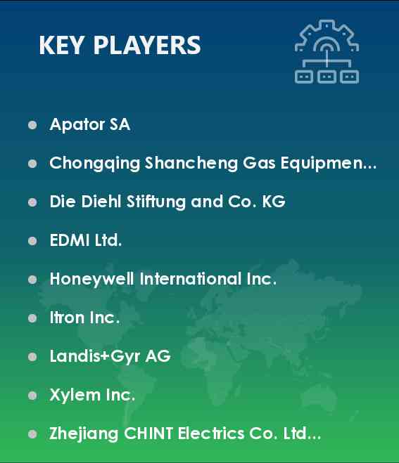 Gas Meter Market Vendors