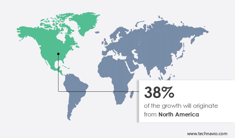 Bodyboard Market Share by Geography