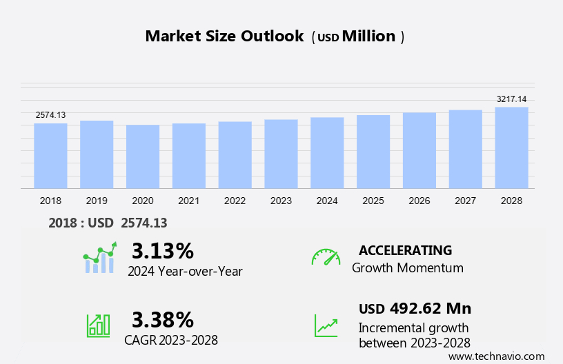 Equestrian Protective Clothing Market Size
