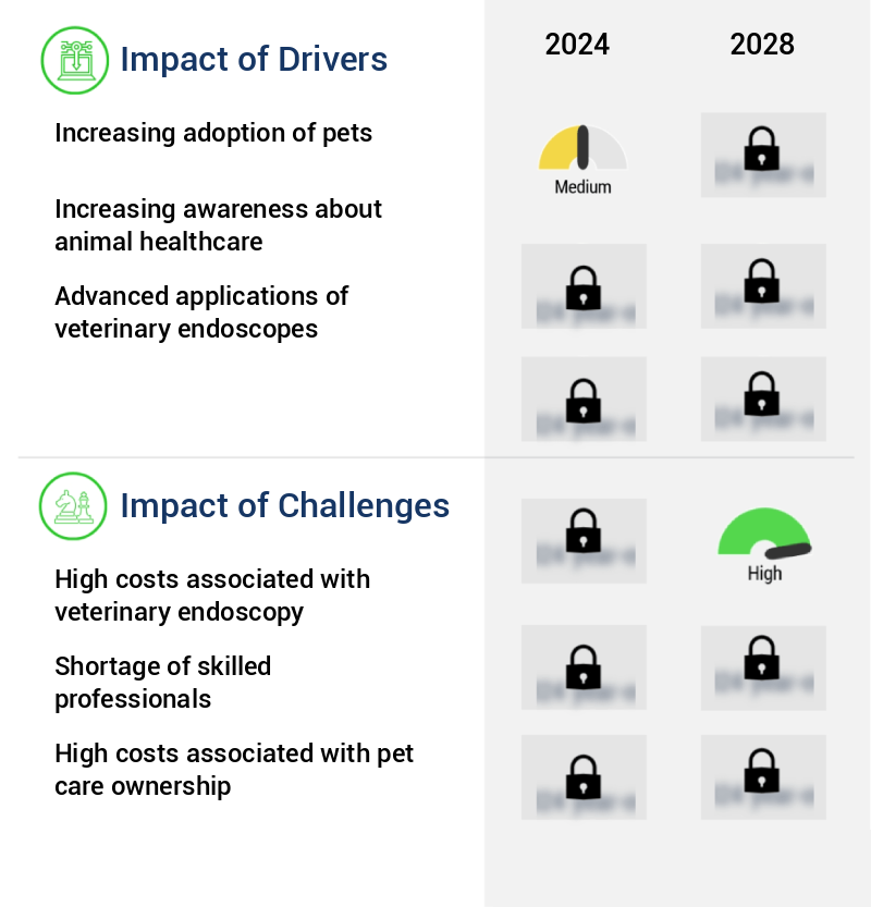 Veterinary Endoscopy Devices Market Size