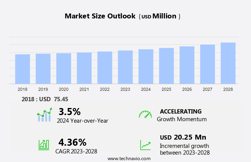 Ear Syringe Market Size