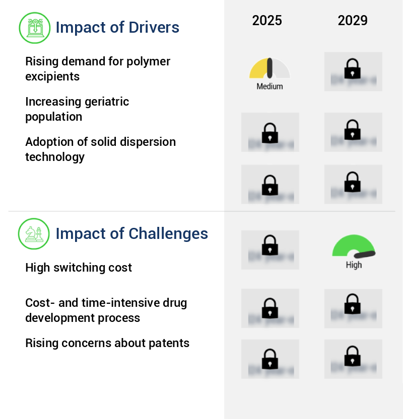 Polymer Based Solubility Enhancement Excipients Market Size