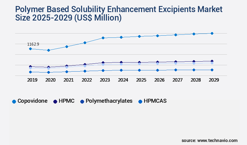 Polymer Based Solubility Enhancement Excipients Market Size