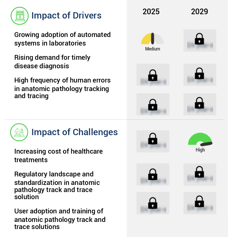 Anatomic Pathology Track And Trace Solutions Market Size