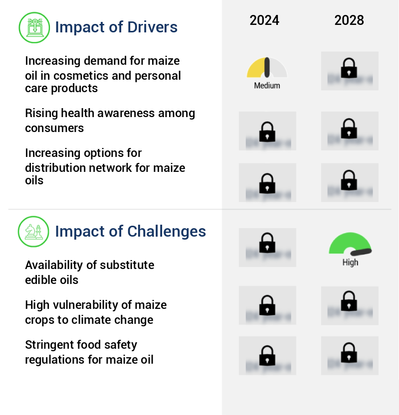 Maize Oil Market Size