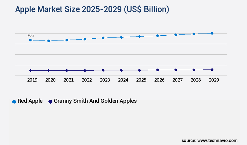 Apple Market Size