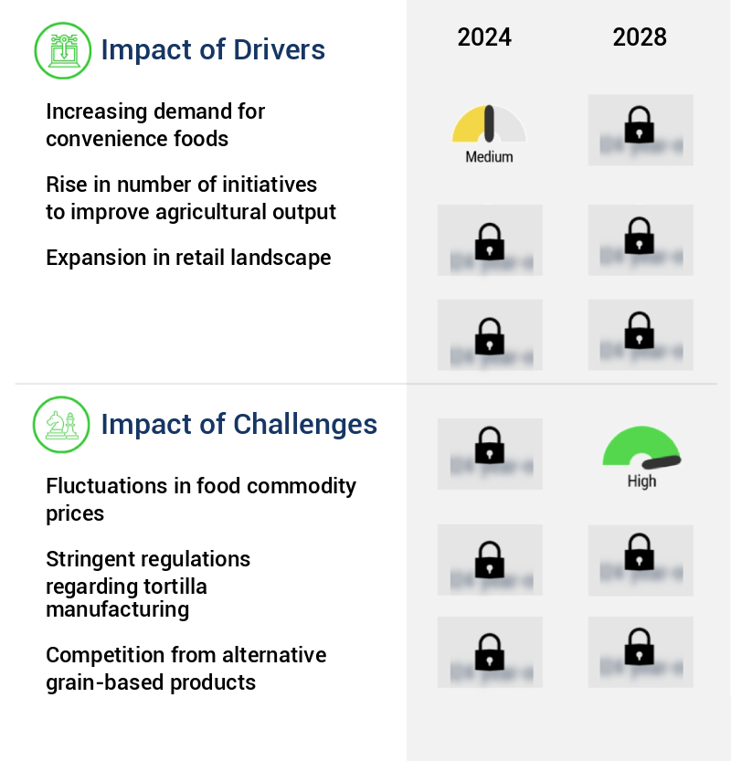 Tortilla Market Size
