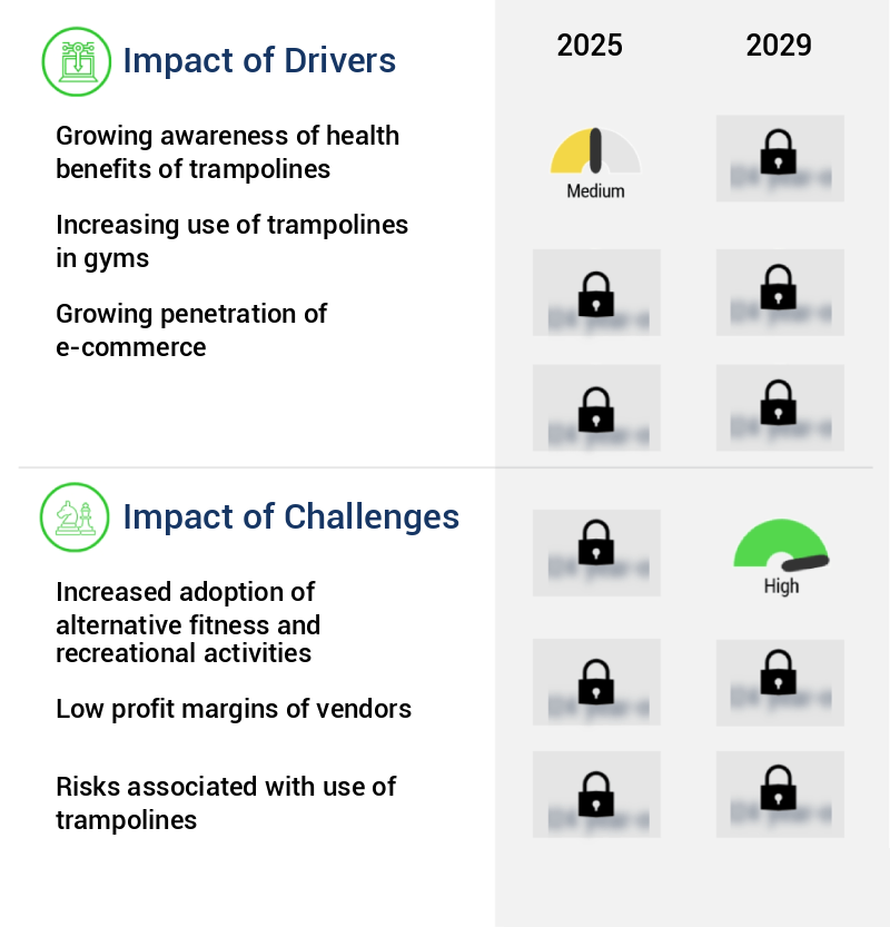 Trampoline Market Size