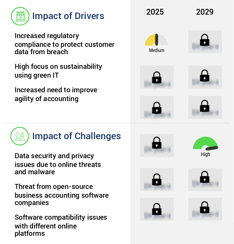 Business Accounting Software Market Size