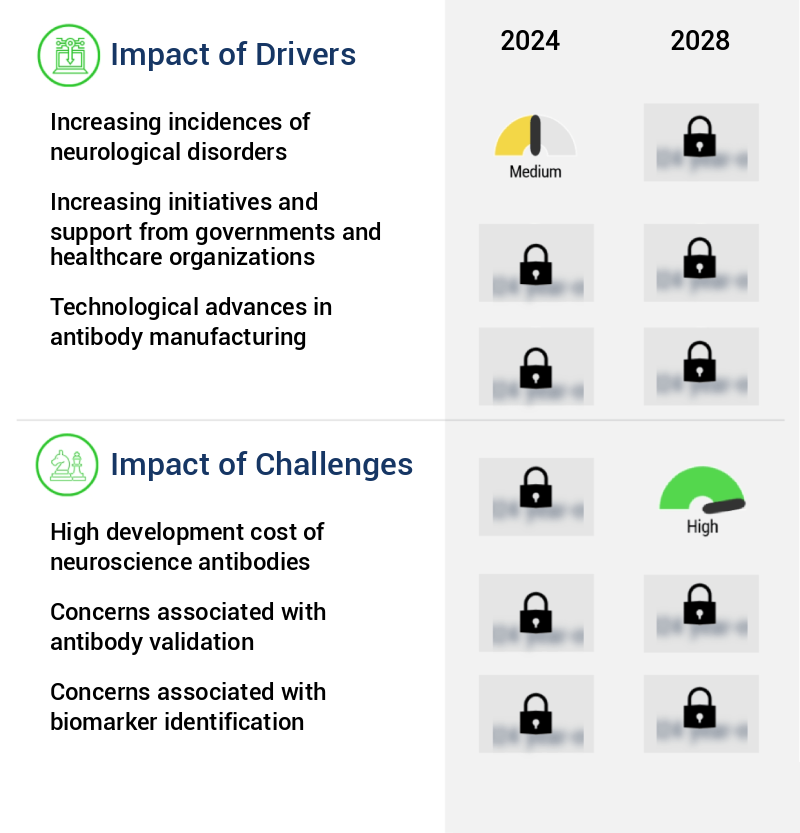 Neuroscience Antibodies and Assays Market Size