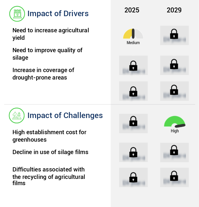 Agricultural Films Market Size
