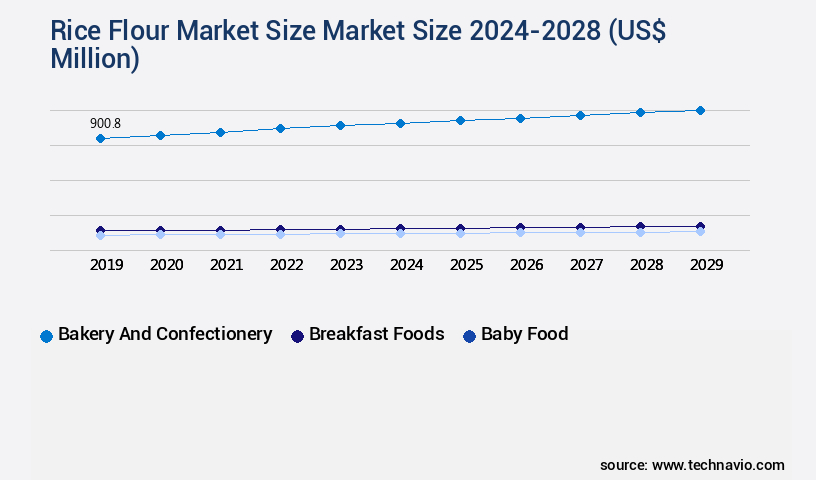 Rice Flour Market Market Size