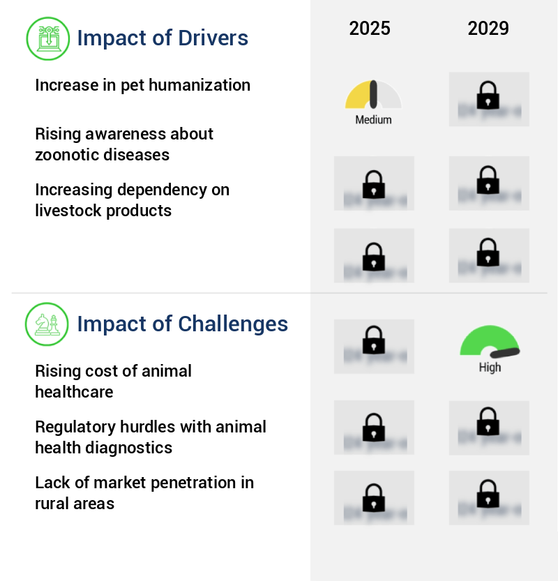 Animal Health Diagnostics Market Size