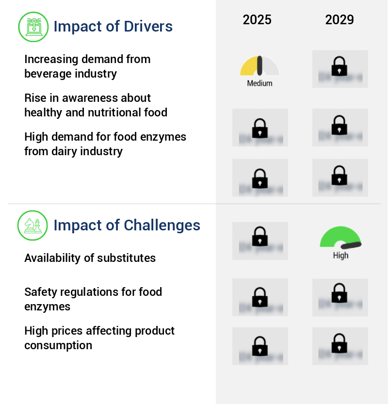 Food Enzymes Market Size