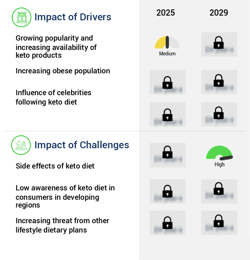 Ketogenic Diet Market Size